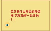 灵芝是什么鸟类的种类呢(灵芝是哪一类生物？)