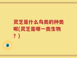 灵芝是什么鸟类的种类呢(灵芝是哪一类生物？)