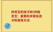 种灵芝的孢子粉(种植灵芝：重要的步骤及孢子粉使用方法