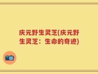庆元野生灵芝(庆元野生灵芝：生命的奇迹)