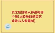 灵芝娃娃和人参果树哪个难(比较难的是灵芝娃娃与人参果树)