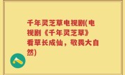 千年灵芝草电视剧(电视剧《千年灵芝草》 看草长成仙，敬畏大自然)