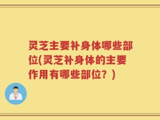 灵芝主要补身体哪些部位(灵芝补身体的主要作用有哪些部位？)