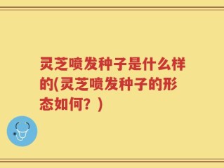 灵芝喷发种子是什么样的(灵芝喷发种子的形态如何？)