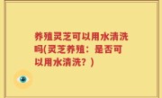 养殖灵芝可以用水清洗吗(灵芝养殖：是否可以用水清洗？)