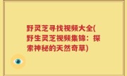野灵芝寻找视频大全(野生灵芝视频集锦：探索神秘的天然奇草)