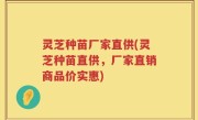 灵芝种苗厂家直供(灵芝种苗直供，厂家直销商品价实惠)