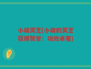 小胡灵芝(小胡的灵芝获得赞誉：功效卓著)