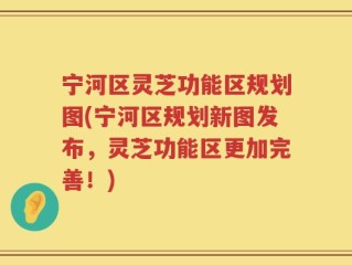 宁河区灵芝功能区规划图(宁河区规划新图发布，灵芝功能区更加完善！)