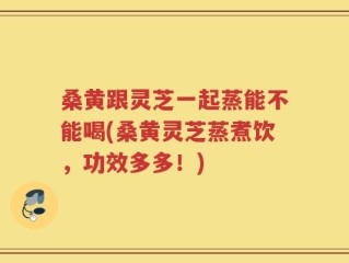 桑黄跟灵芝一起蒸能不能喝(桑黄灵芝蒸煮饮，功效多多！)