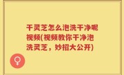 干灵芝怎么泡洗干净呢视频(视频教你干净泡洗灵芝，妙招大公开)