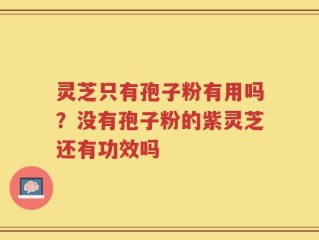 灵芝只有孢子粉有用吗？没有孢子粉的紫灵芝还有功效吗