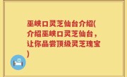 巫峡口灵芝仙台介绍(介绍巫峡口灵芝仙台，让你品尝顶级灵芝瑰宝)