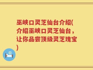 巫峡口灵芝仙台介绍(介绍巫峡口灵芝仙台，让你品尝顶级灵芝瑰宝)