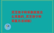 灵芝孢子粉采集就是这么采集的_灵芝孢子粉采集方法详解)