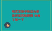 喝灵芝孢子粉后头晕 是还是其他原因 快来了解一下
