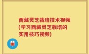 西藏灵芝栽培技术视频(学习西藏灵芝栽培的实用技巧视频)