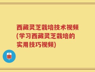 西藏灵芝栽培技术视频(学习西藏灵芝栽培的实用技巧视频)