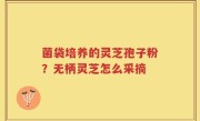 菌袋培养的灵芝孢子粉？无柄灵芝怎么采摘