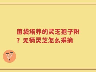 菌袋培养的灵芝孢子粉？无柄灵芝怎么采摘