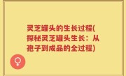 灵芝罐头的生长过程(探秘灵芝罐头生长：从孢子到成品的全过程)