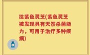 捡紫色灵芝(紫色灵芝被发现具有天然杀菌能力，可用于治疗多种疾病)