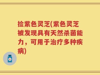 捡紫色灵芝(紫色灵芝被发现具有天然杀菌能力，可用于治疗多种疾病)
