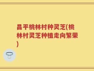 昌平桃林村种灵芝(桃林村灵芝种植走向繁荣)