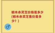 椴木赤灵芝价格是多少(椴木赤灵芝售价是多少？)