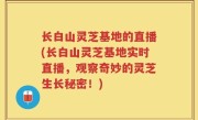 长白山灵芝基地的直播(长白山灵芝基地实时直播，观察奇妙的灵芝生长秘密！)