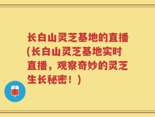 长白山灵芝基地的直播(长白山灵芝基地实时直播，观察奇妙的灵芝生长秘密！)