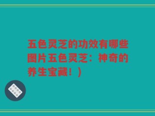 五色灵芝的功效有哪些图片五色灵芝：神奇的养生宝藏！)