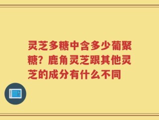 灵芝多糖中含多少葡聚糖？鹿角灵芝跟其他灵芝的成分有什么不同