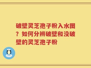 破壁灵芝孢子粉入水图？如何分辨破壁和没破壁的灵芝孢子粉