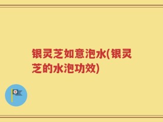 银灵芝如意泡水(银灵芝的水泡功效)