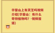 华蓥山上有灵芝吗视频介绍(华蓥山：有什么奇特植物吗？-视频报道)