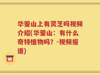 华蓥山上有灵芝吗视频介绍(华蓥山：有什么奇特植物吗？-视频报道)