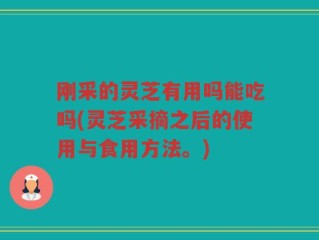 刚采的灵芝有用吗能吃吗(灵芝采摘之后的使用与食用方法。)