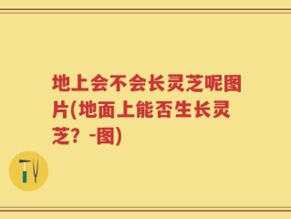 地上会不会长灵芝呢图片(地面上能否生长灵芝？-图)