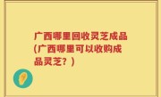 广西哪里回收灵芝成品(广西哪里可以收购成品灵芝？)