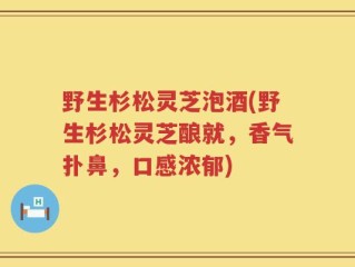 野生杉松灵芝泡酒(野生杉松灵芝酿就，香气扑鼻，口感浓郁)