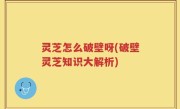 灵芝怎么破壁呀(破壁灵芝知识大解析)