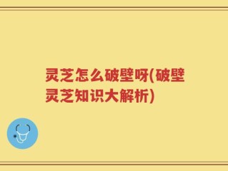 灵芝怎么破壁呀(破壁灵芝知识大解析)
