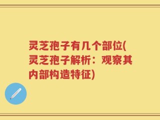 灵芝孢子有几个部位(灵芝孢子解析：观察其内部构造特征)