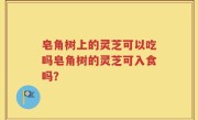 皂角树上的灵芝可以吃吗皂角树的灵芝可入食吗？