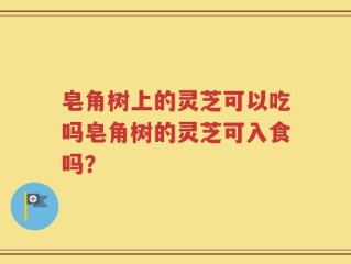 皂角树上的灵芝可以吃吗皂角树的灵芝可入食吗？