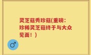 灵芝菇秀珍菇(重磅：珍稀灵芝菇终于与大众见面！)
