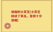 迷糊的小灵芝(小灵芝掉进了草丛，变得十分迷糊)