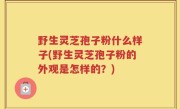 野生灵芝孢子粉什么样子(野生灵芝孢子粉的外观是怎样的？)