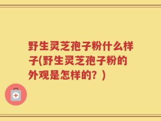 野生灵芝孢子粉什么样子(野生灵芝孢子粉的外观是怎样的？)